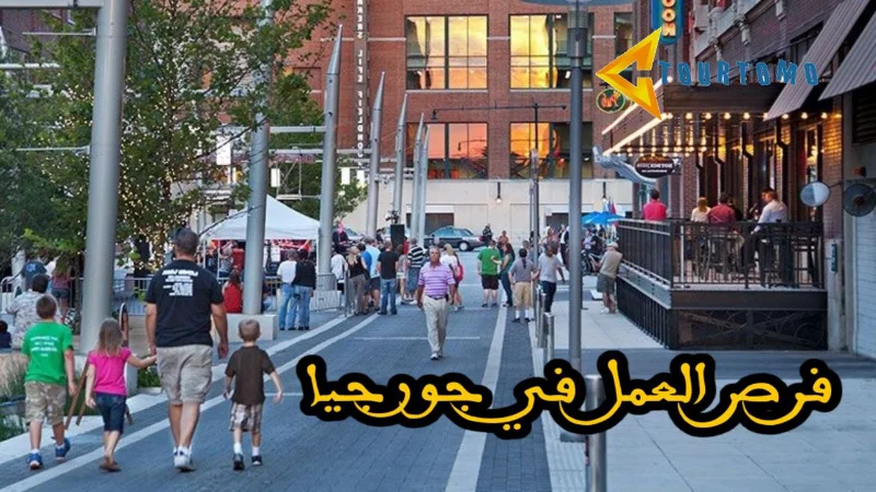 فرص العمل في جورجيا